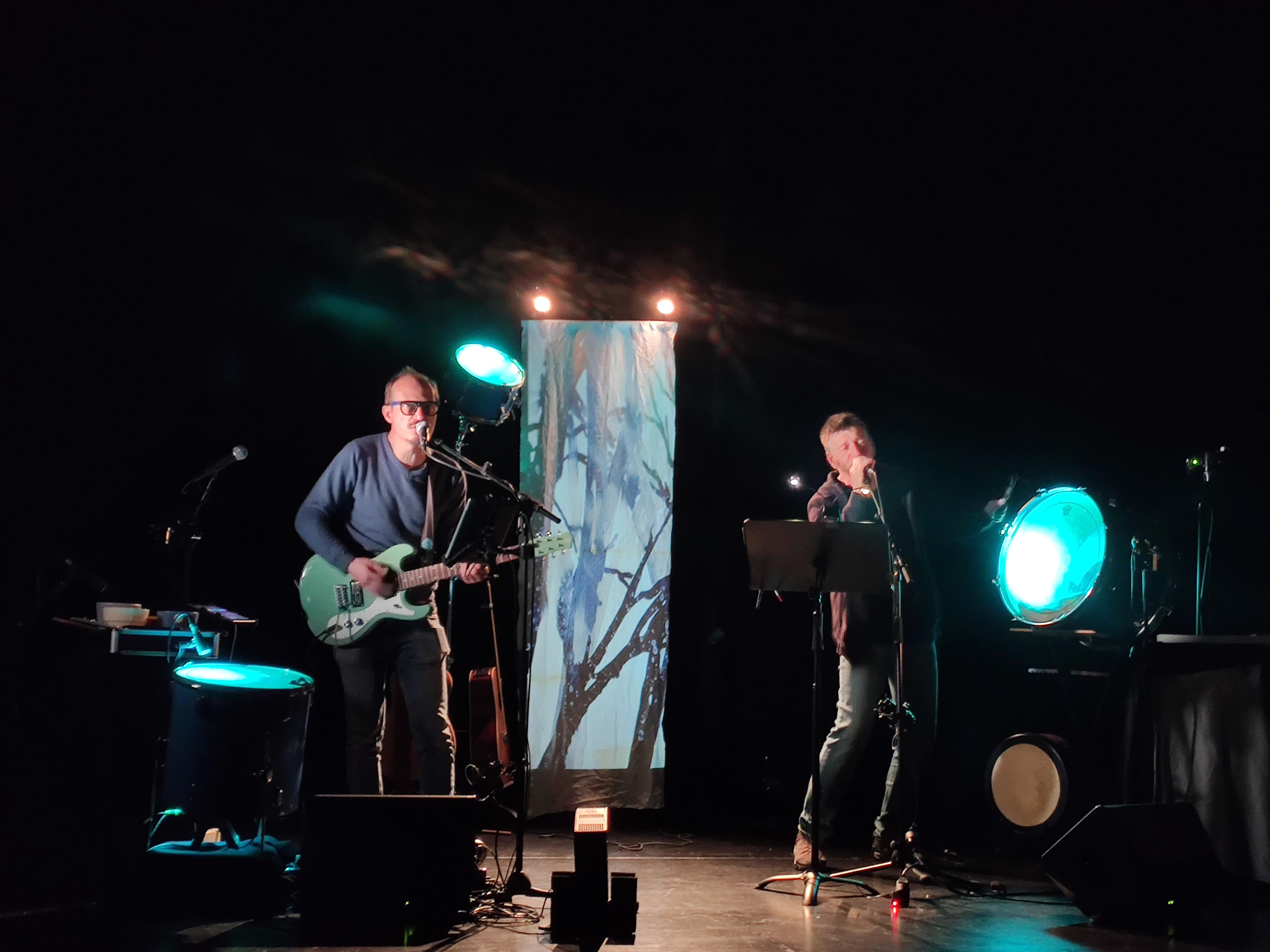 deux musiciens sur une scène avec un arbre en fond