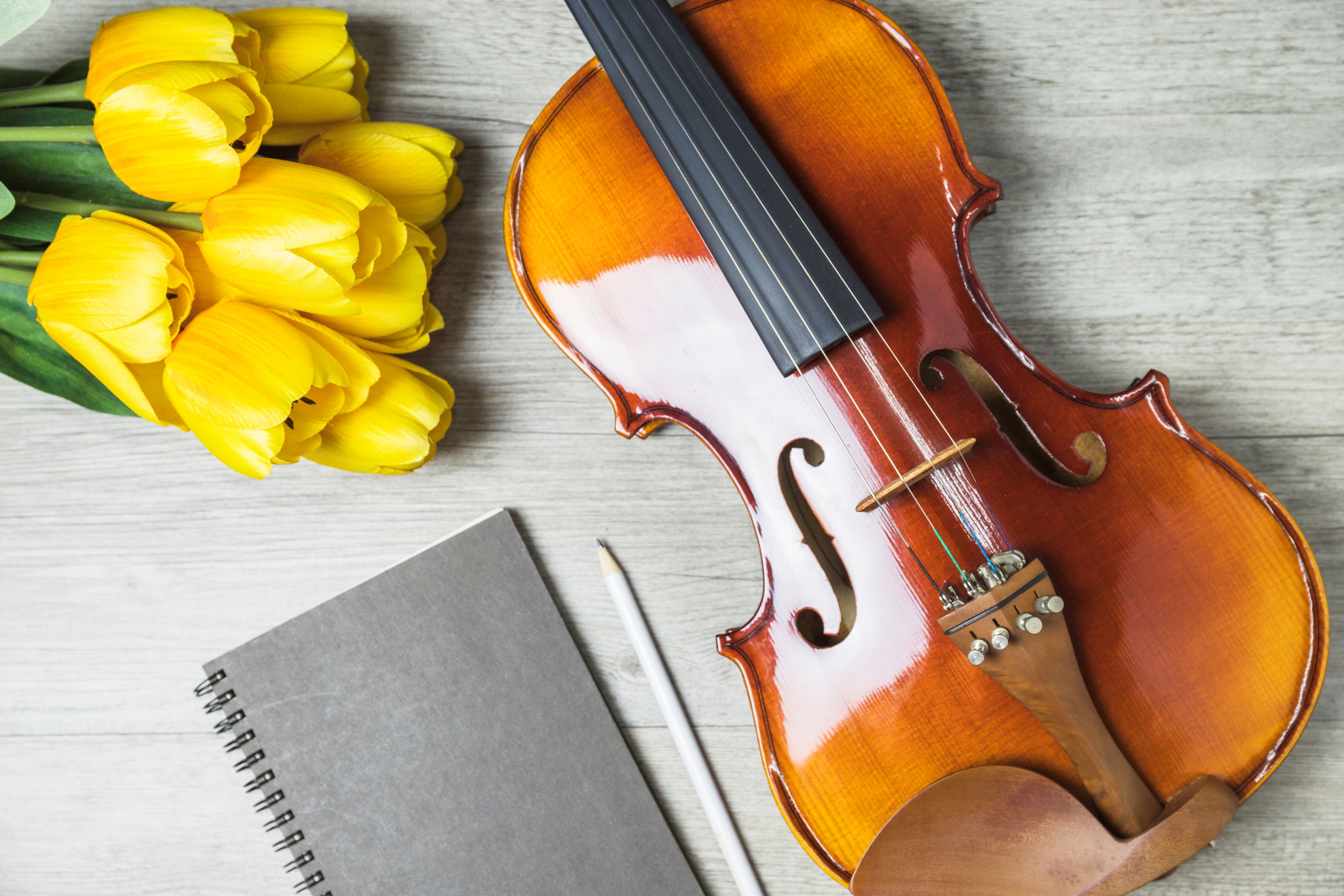 violon posé à côté de fleurs jaunes et un cahier gris